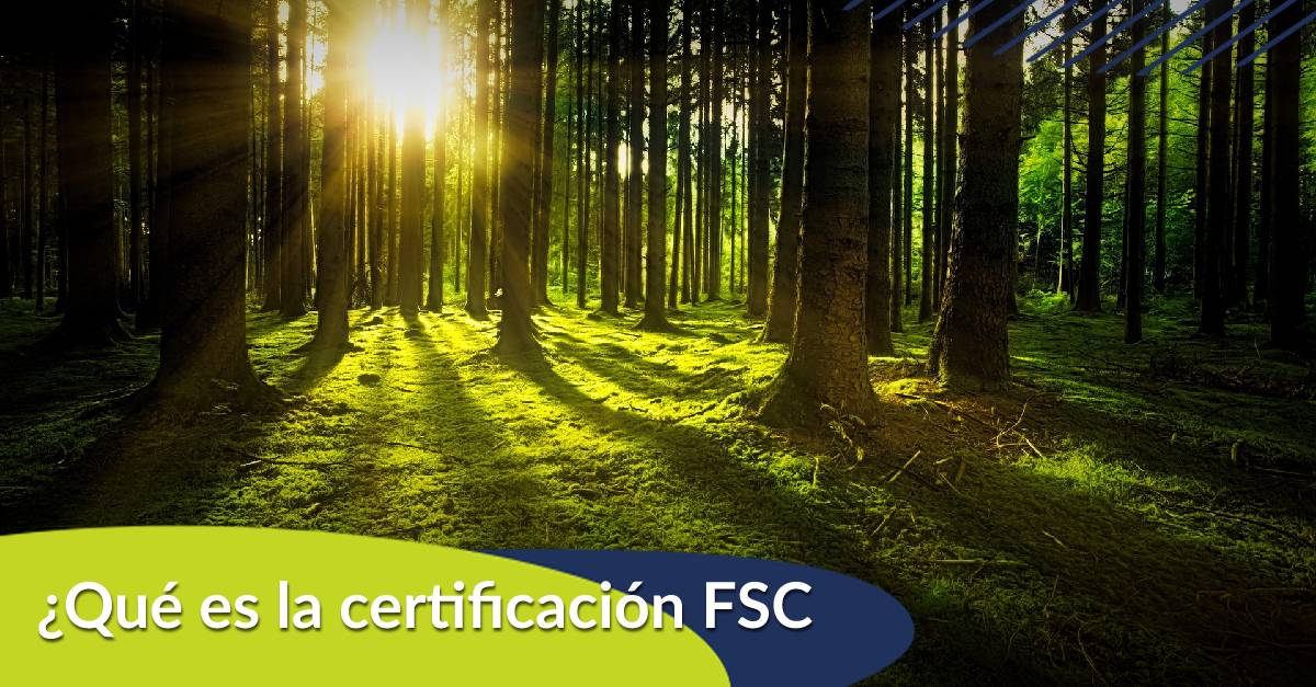 ¿Qué es la certificación FSC?